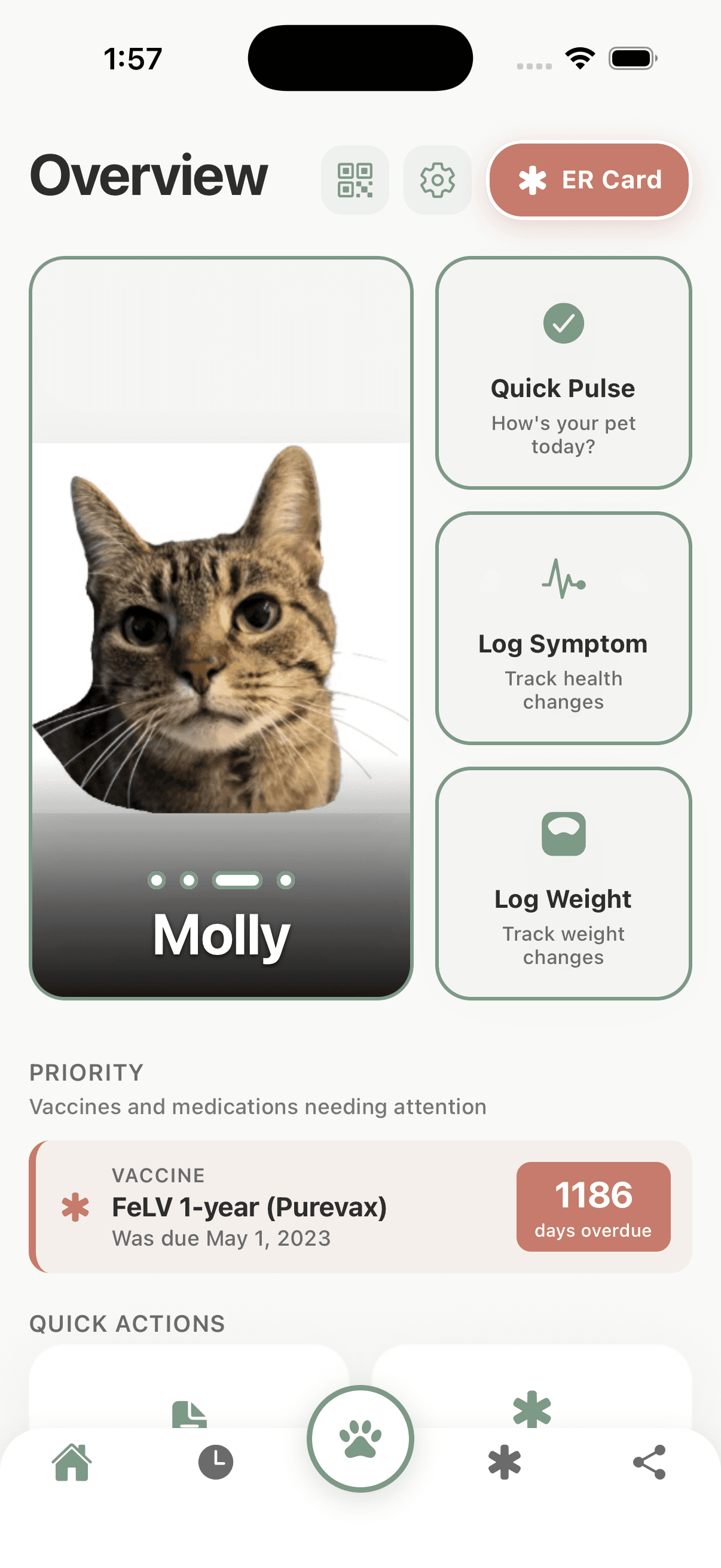 The PawChart app Overview screen: a cat named Molly, quick actions for logging a pulse, symptom or weight, and a Priority list showing an FeLV vaccine 1186 days overdue.
