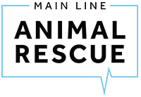 Main Line Animal Rescue